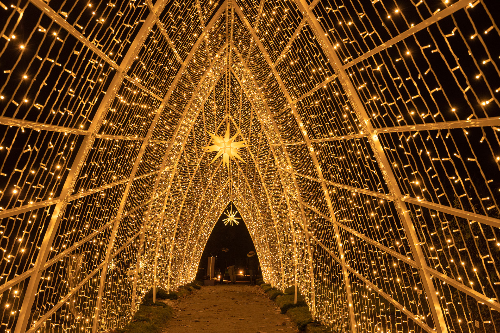 The Best Winter Light Festivals In The UK 2023