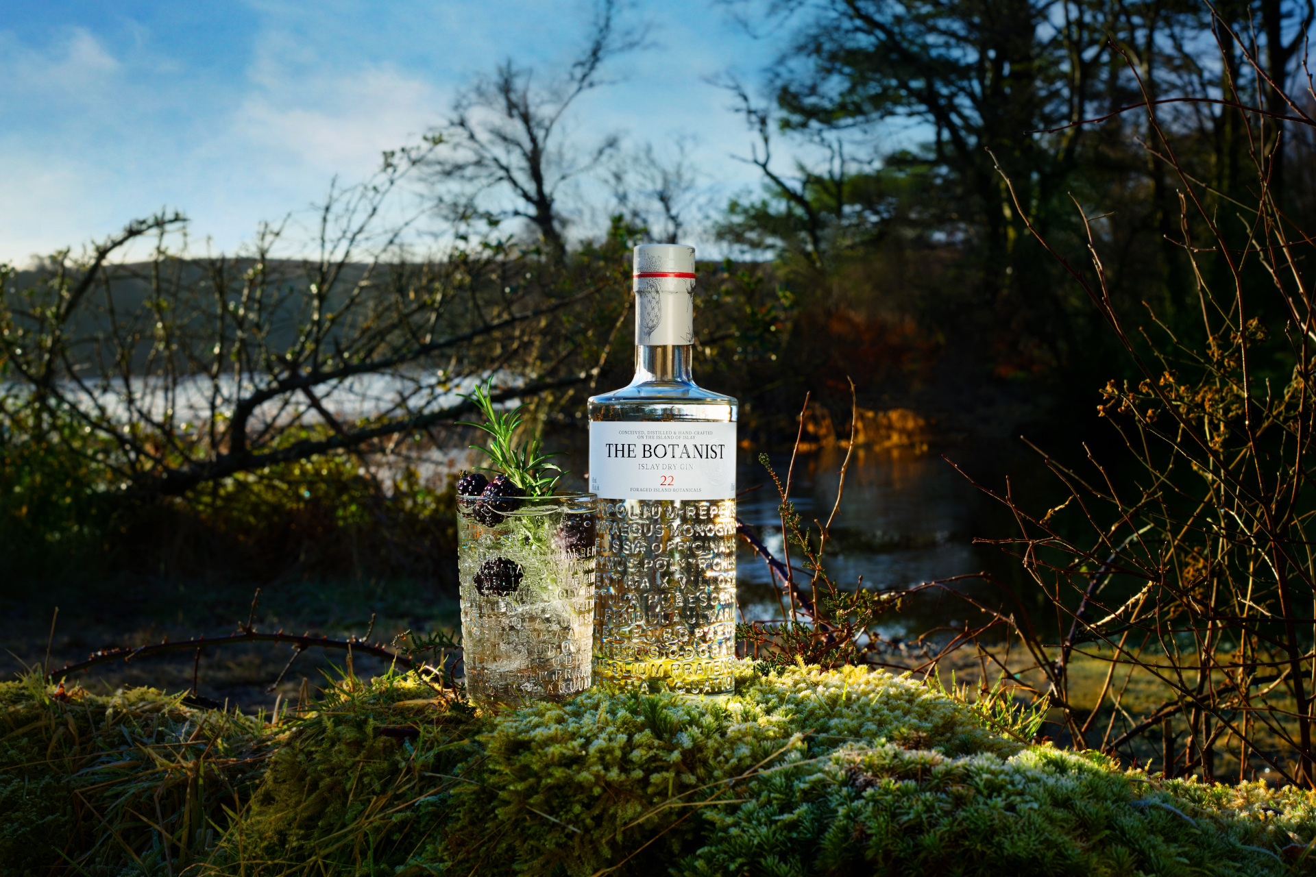 Best B Corp Drink Companies in the UK