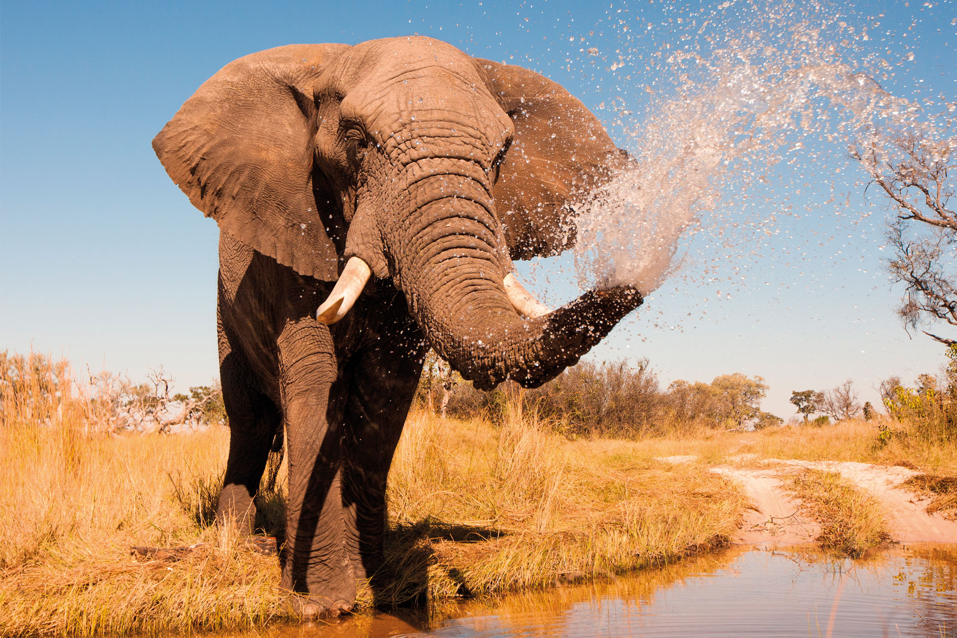 Africa and Climate Change: Africa's Existential Choice