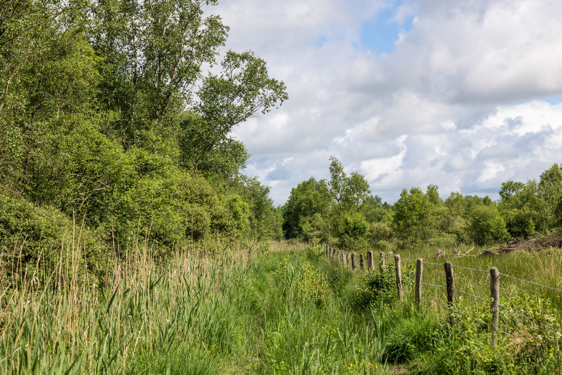 Orne, Normandy is the Cotswolds of France
