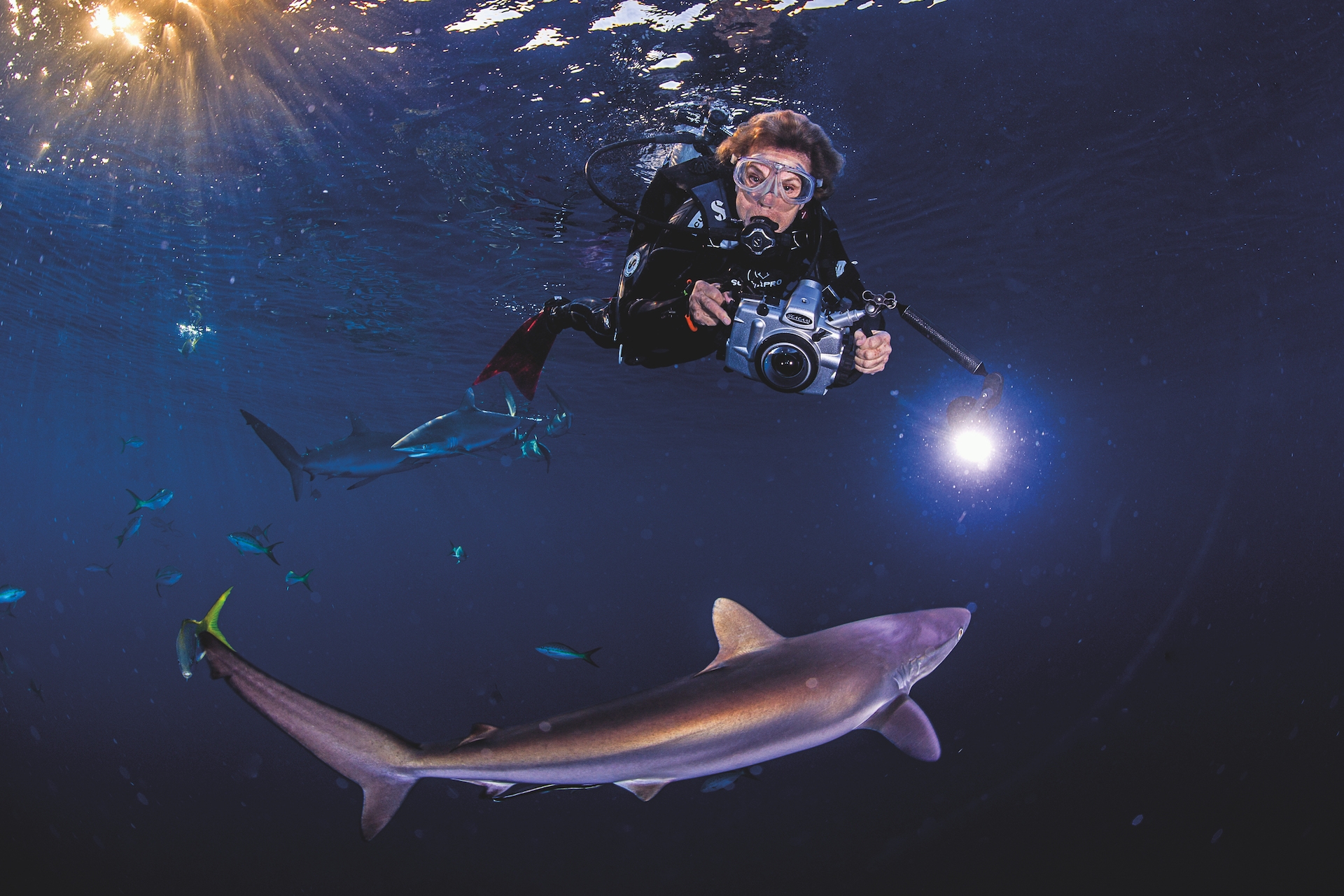 My Little Green Book: Saving the Oceans with Dr Sylvia Earle