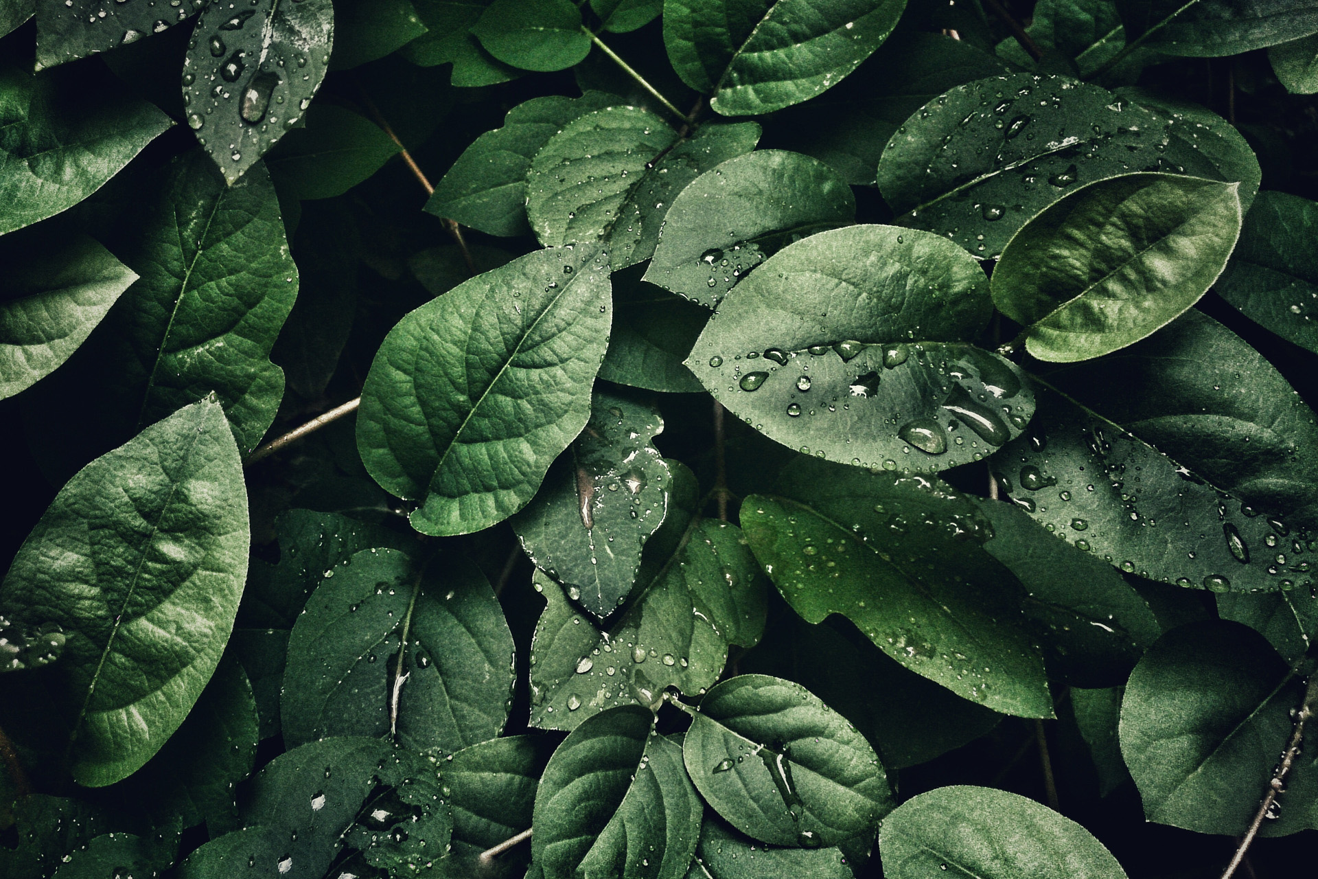 Exactly How To Calculate Your Carbon Footprint (& What It Means)
