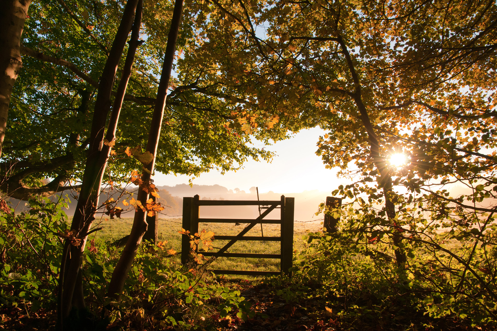 The Best Cotswolds Spots To Visit In Autumn
