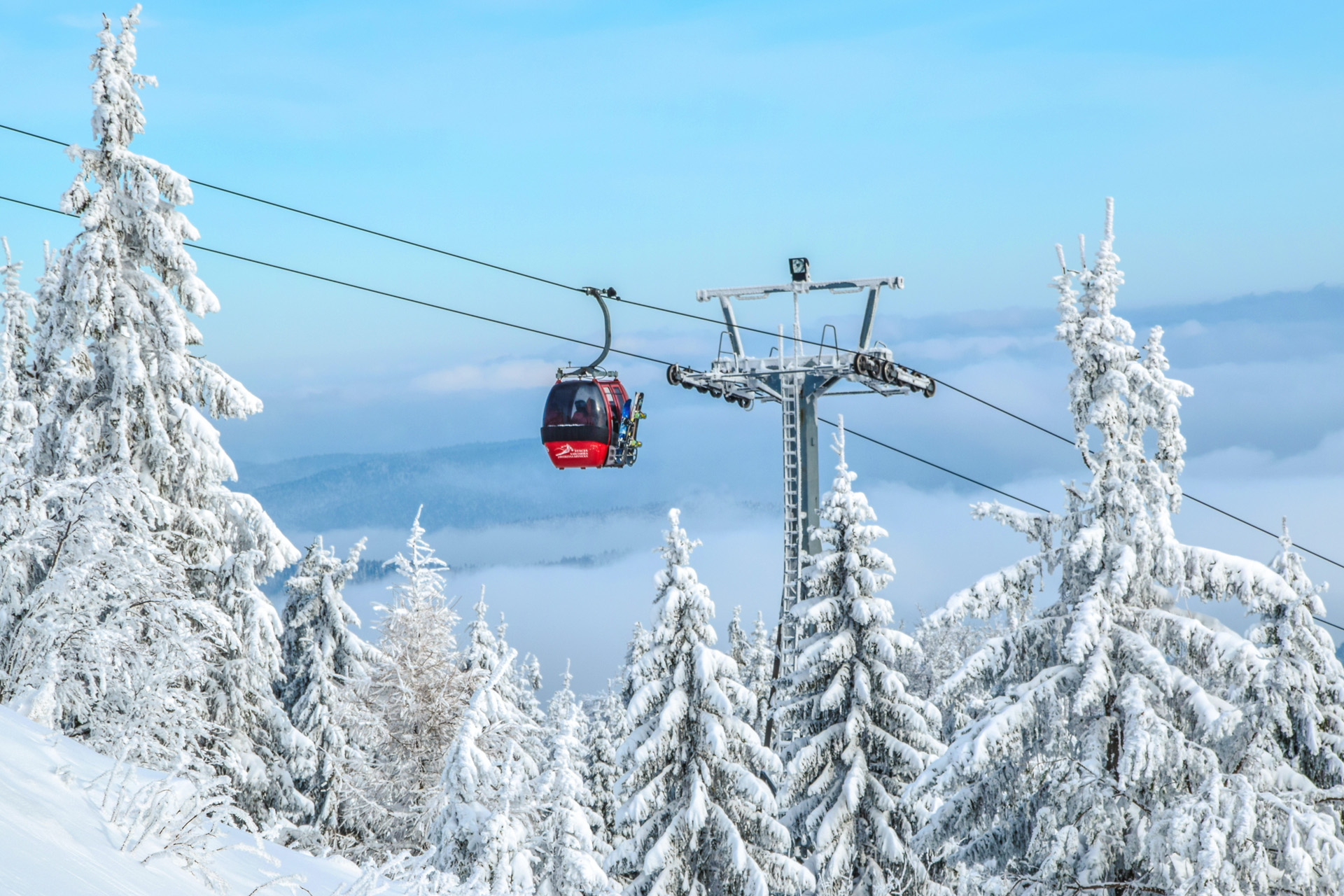 Alpine Foodies: The Best Ski Resort Restaurants In Europe