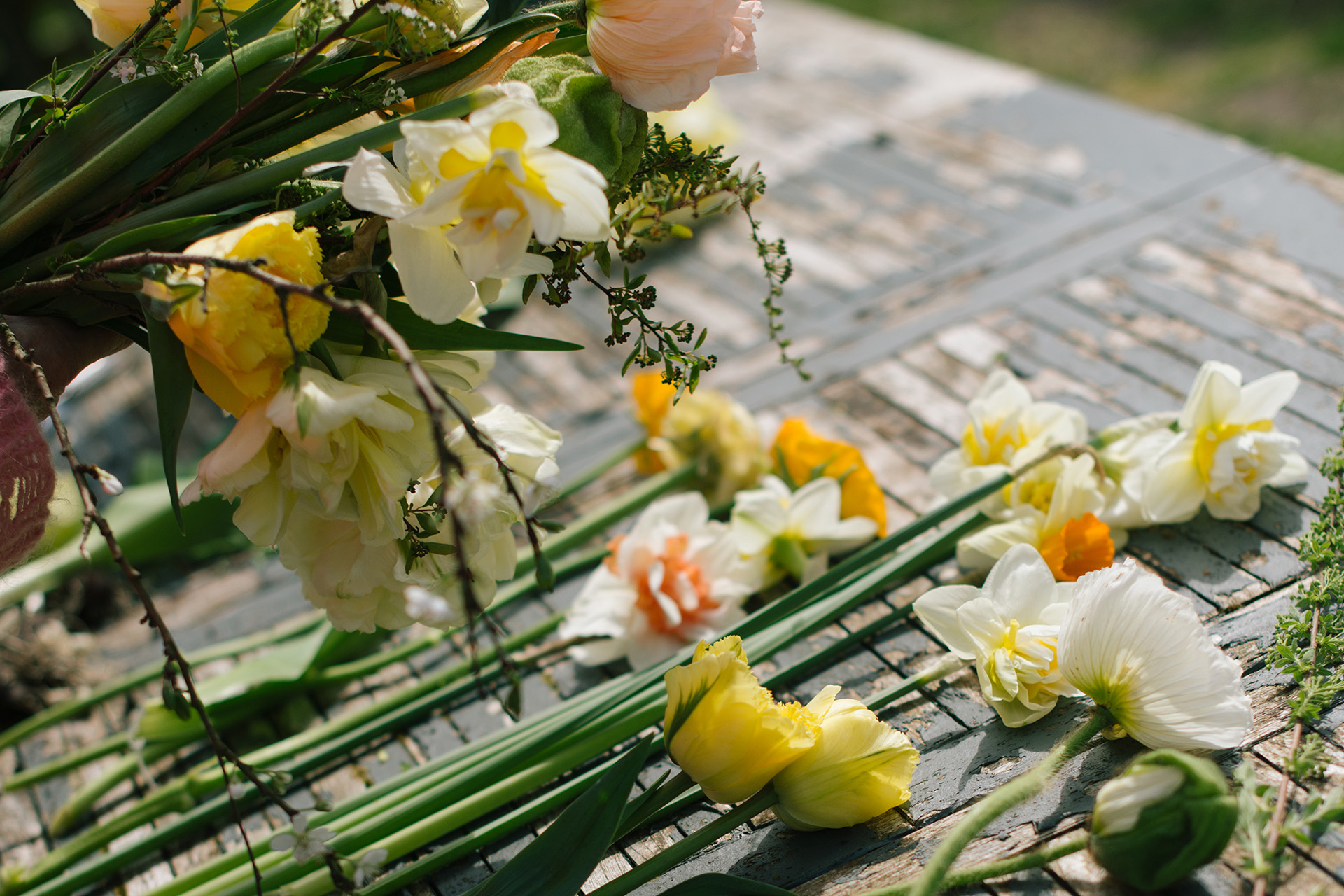 How To Find Chemical Free Flowers