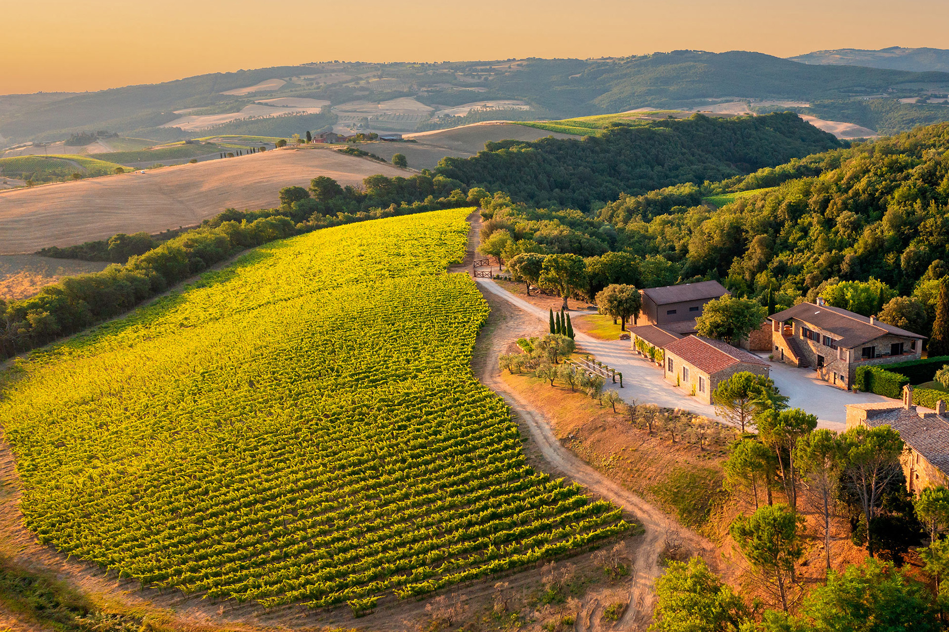 Is This The Ultimate Wine Lover’s Trip?