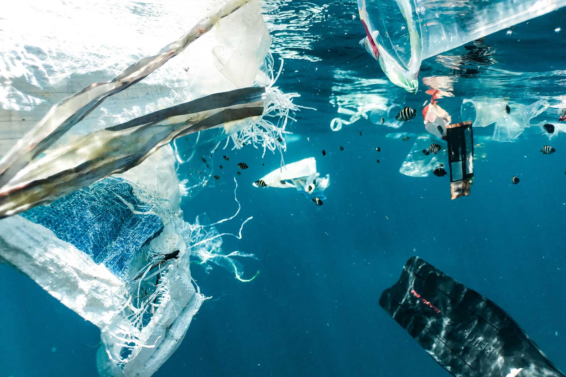 Not Safe To Swim: What Is Going On With The UK’s Seasides?