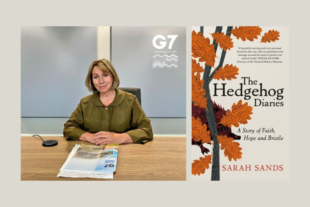The Heroic Hedgehog With Sarah Sands