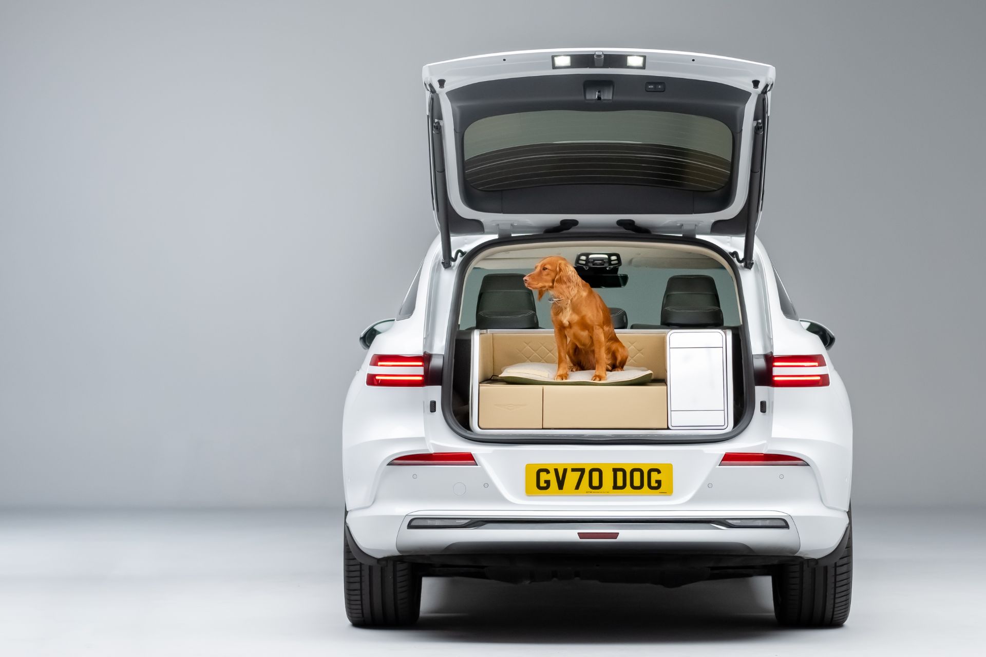 Is This The Best Dog-Friendly Car Around?