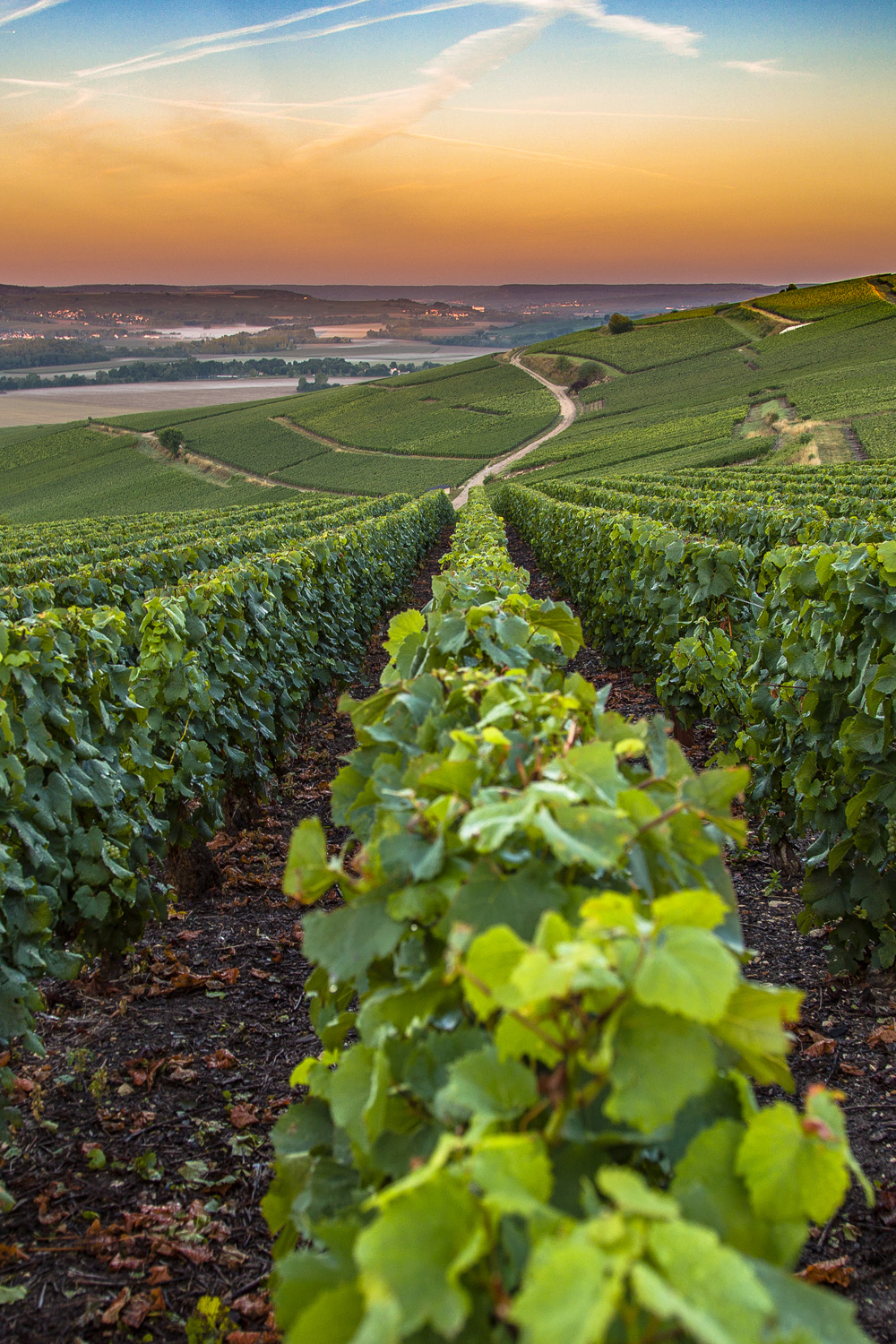 A Chef's Guide To Champagne