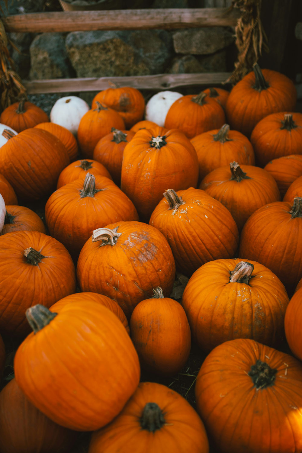 How To Repurpose Your Pumpkin After Halloween